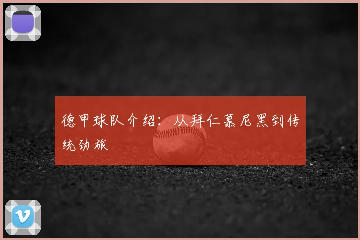 德甲球队介绍:从拜仁慕尼黑到传统劲旅