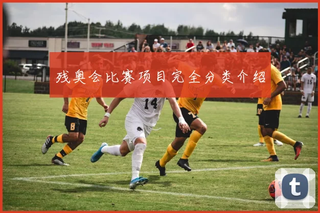 残奥会比赛项目完全分类介绍