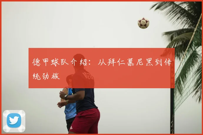 德甲球队介绍：从拜仁慕尼黑到传统劲旅